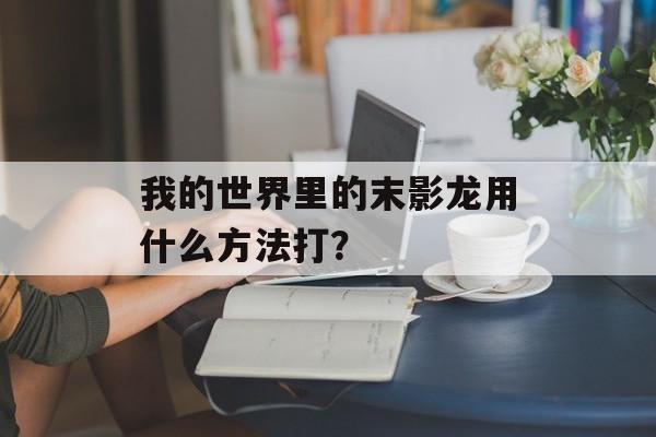 我的世界里的末影龙用什么方法打？