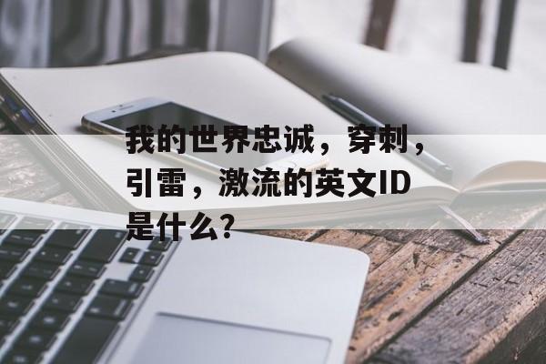 我的世界忠诚，穿刺，引雷，激流的英文ID是什么？