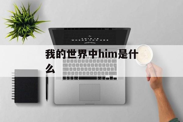 我的世界中him是什么