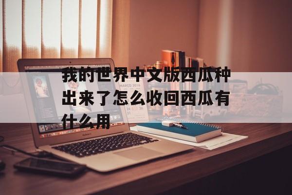 我的世界中文版西瓜种出来了怎么收回西瓜有什么用