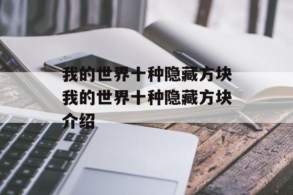 我的世界十种隐藏方块我的世界十种隐藏方块介绍