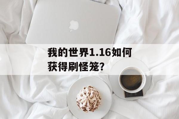 我的世界1.16如何获得刷怪笼？