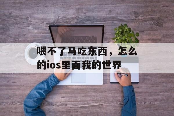 喂不了马吃东西，怎么的ios里面我的世界