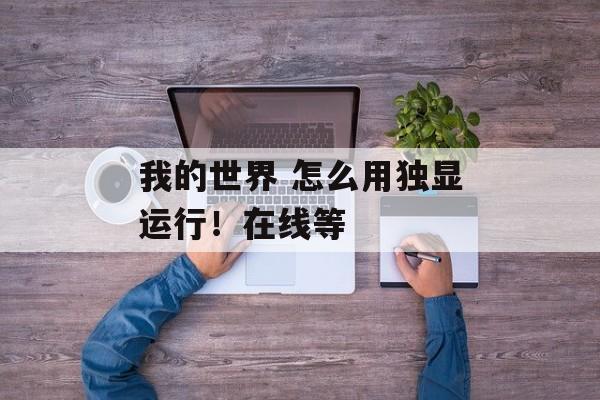 我的世界 怎么用独显运行！在线等