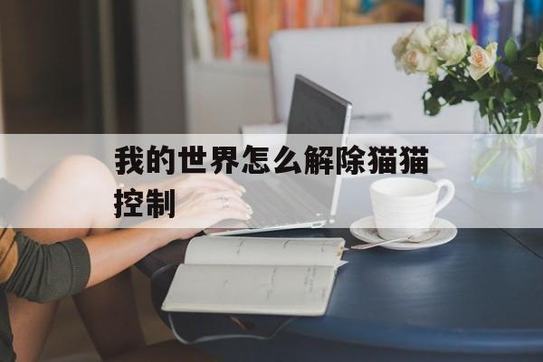 我的世界怎么解除猫猫控制