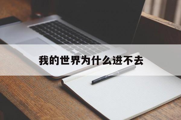 我的世界为什么进不去