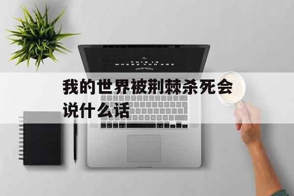 我的世界被荆棘杀死会说什么话