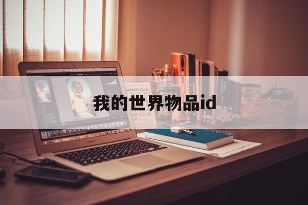 我的世界物品id