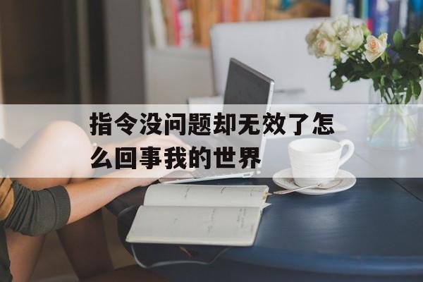 指令没问题却无效了怎么回事我的世界