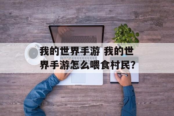 我的世界手游 我的世界手游怎么喂食村民？