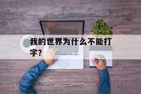 我的世界为什么不能打字？