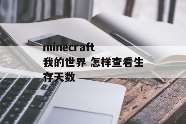 minecraft 我的世界 怎样查看生存天数