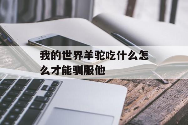 我的世界羊驼吃什么怎么才能驯服他