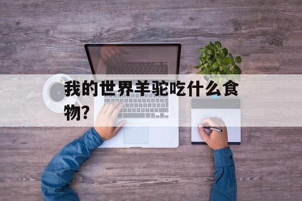 我的世界羊驼吃什么食物？